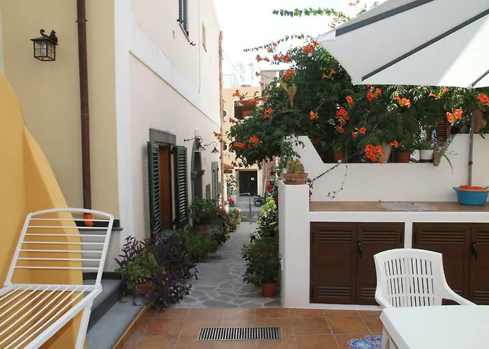 Zibibbo - Il Palmento