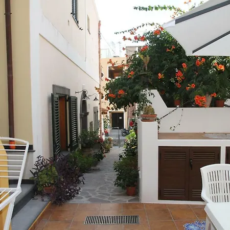 Zibibbo - Il Nuovo Palmento